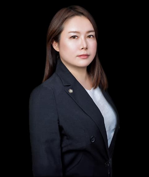 강남협박죄/강요죄변호사 undefined